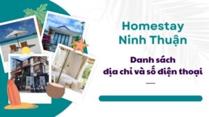 Danh sách các Homestay Ninh Thuận giá rẻ, đẹp và nhiều du khách lựa chọn