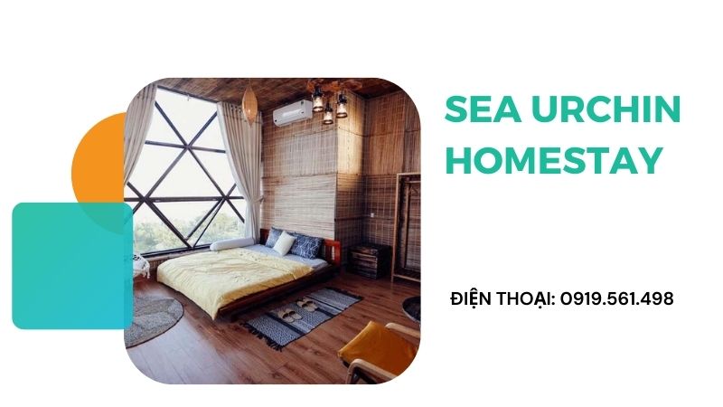 Sea Urchin Homestay Ninh Thuận
