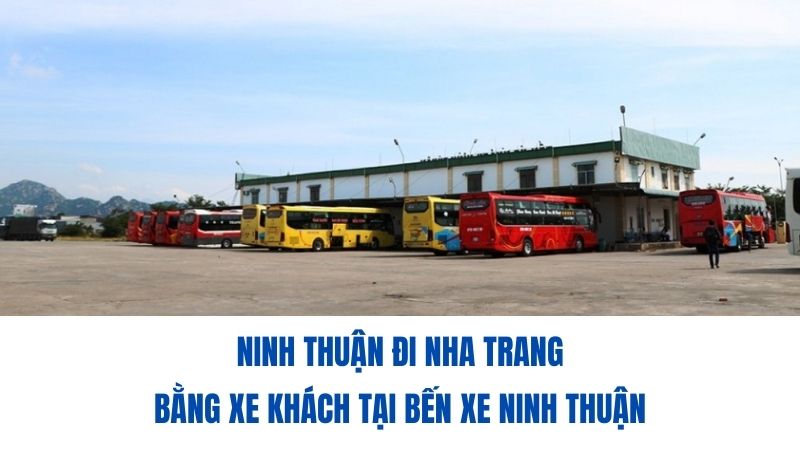Thuê Xe Ninh Thuận Đi Nha Trang Với Xe Đời Mới Nhất